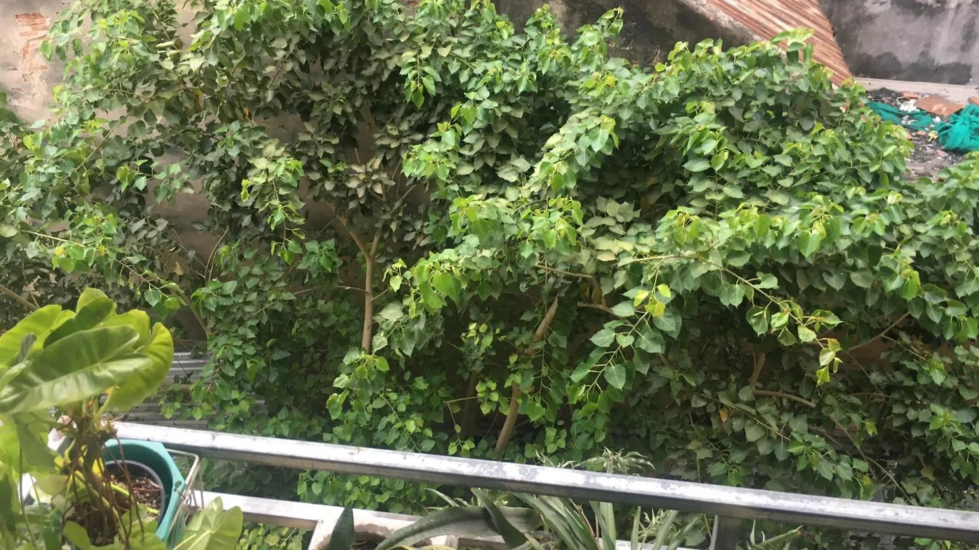 Apartmán Sunshine Home In Hcmc Center Ho Či Minovo Město